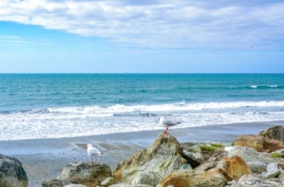 「知行國(guó)際」揭秘：澳洲移民入籍那些事兒，失敗都是有原因的